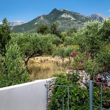 The Olive Grove Boutique Villas