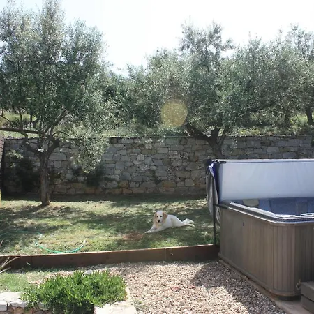 别墅 The Olive Grove Boutique Villas