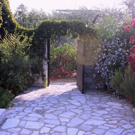 The Olive Grove Boutique Villas 卡德哈米利